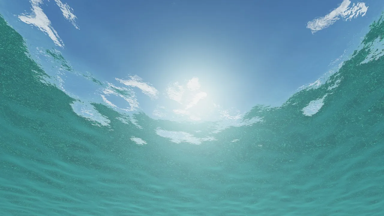 水中から水面を見上げた様子