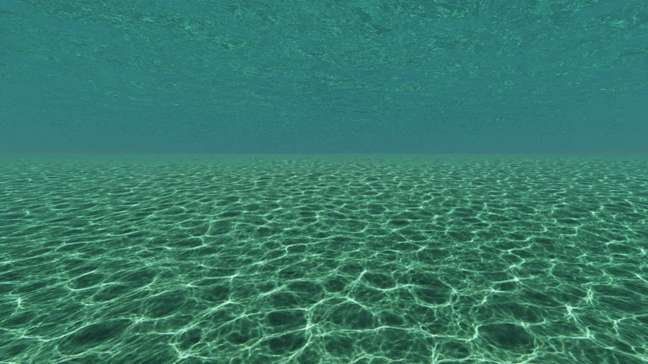 水中から浜の方を見た様子